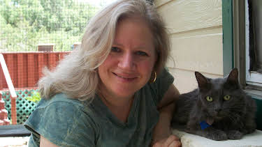 17:00: Dogs 101 (S3 E10) (S3) | Animal Planet | 12/23 2025