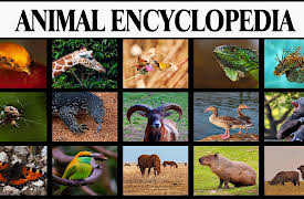 Animal Encyclopedia: Magnificient Beast