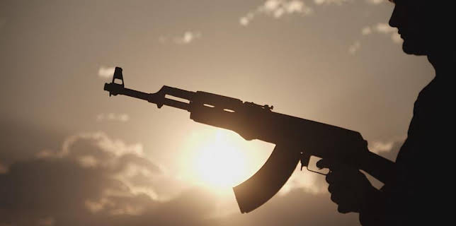 00:55: Documental  El Arma Del Siglo | LA 2 | 3/5 2026