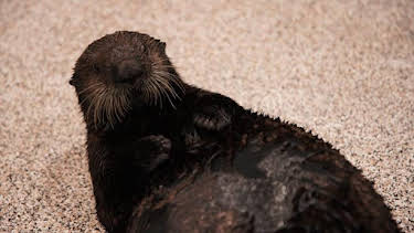 9:00 AM: The Aquarium (S2) | Discovery Channel | 8/24 2026
