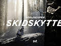 Skidskytte: Världscupen