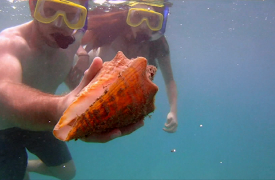 Caribbean Life: Episode 8