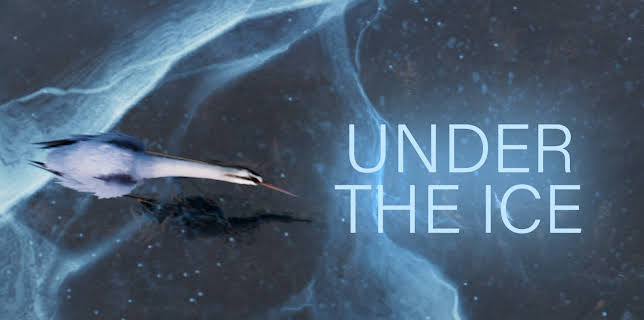 Under the Ice (2019)