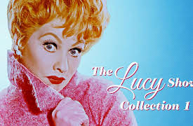 The Lucy Show - Collection 1: Lucy and Viv Put in a Shower