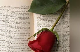 How to Read and Understand Shakespeare: Romeo and Juliet-Words, Words, Words