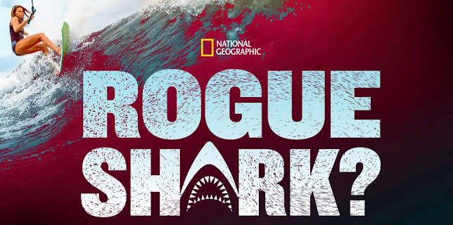 Rogue Shark? (2021)