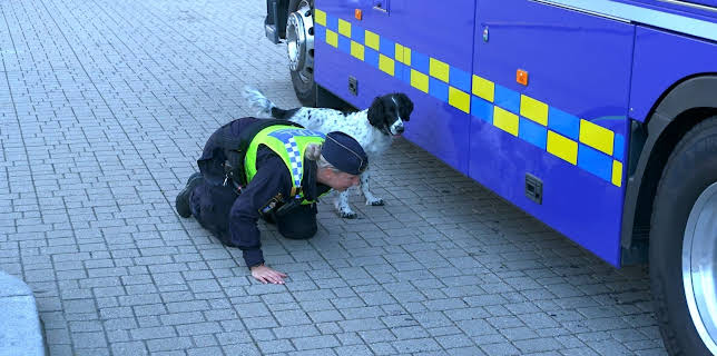 04:00: Border Control: Sweden (S1 E9) (S1) | Investigation Discovery | 3/14 2026