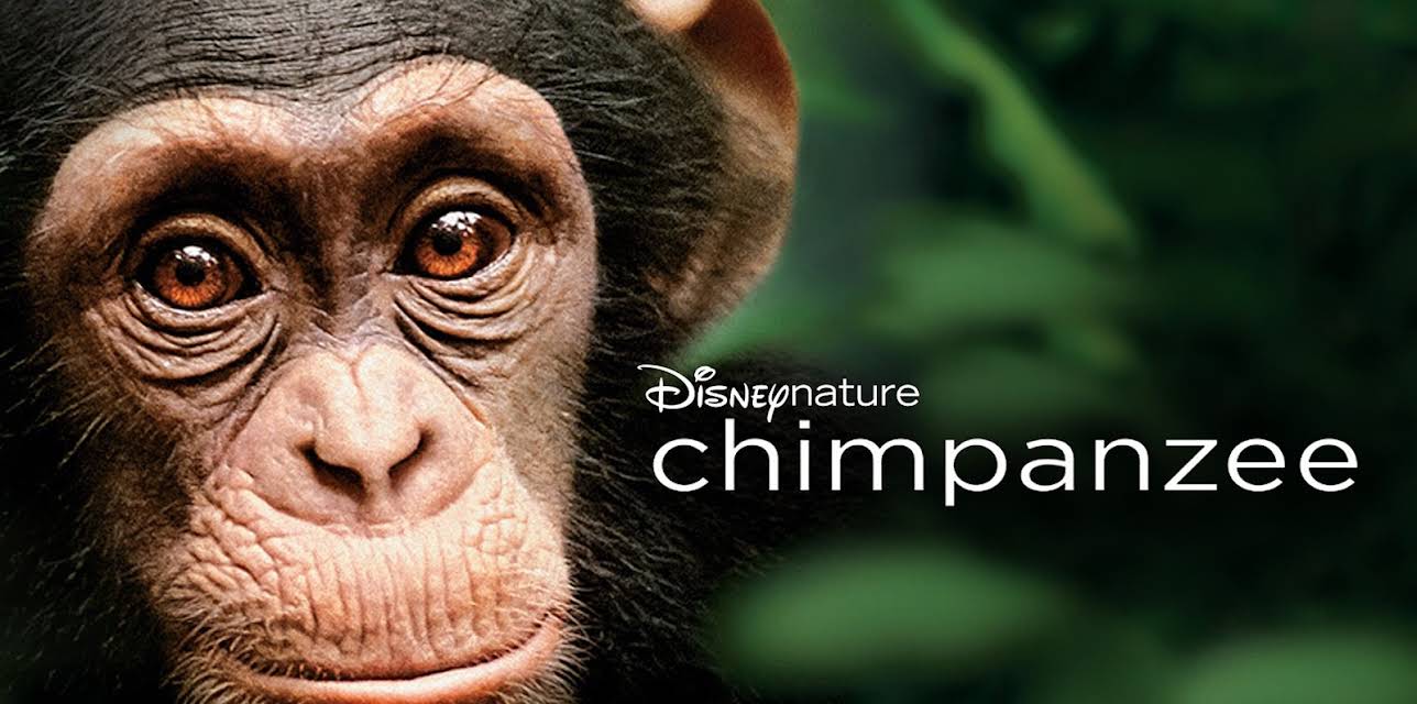 Disneynature Chimpanzee (2012)