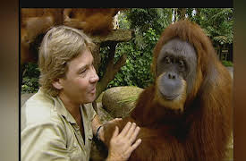 Crocodile Hunter Diaries: Steve's Singapore Safari