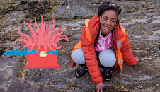 Teeny Tiny Creatures