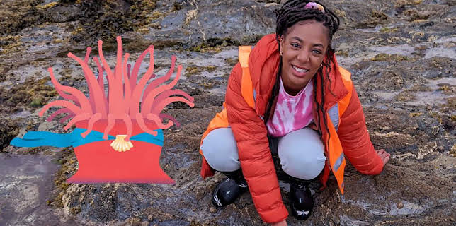 12:10 PM: Teeny Tiny Creatures (S3) | Cbeebies | 11/5 2025