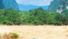 Onoda, 10.000 noches en la jungla