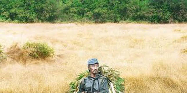 05:14: Onoda, 10.000 noches en la jungla | TCM | 12/13 2025