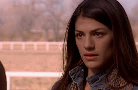 Wild Fire: Season 1: Pilot