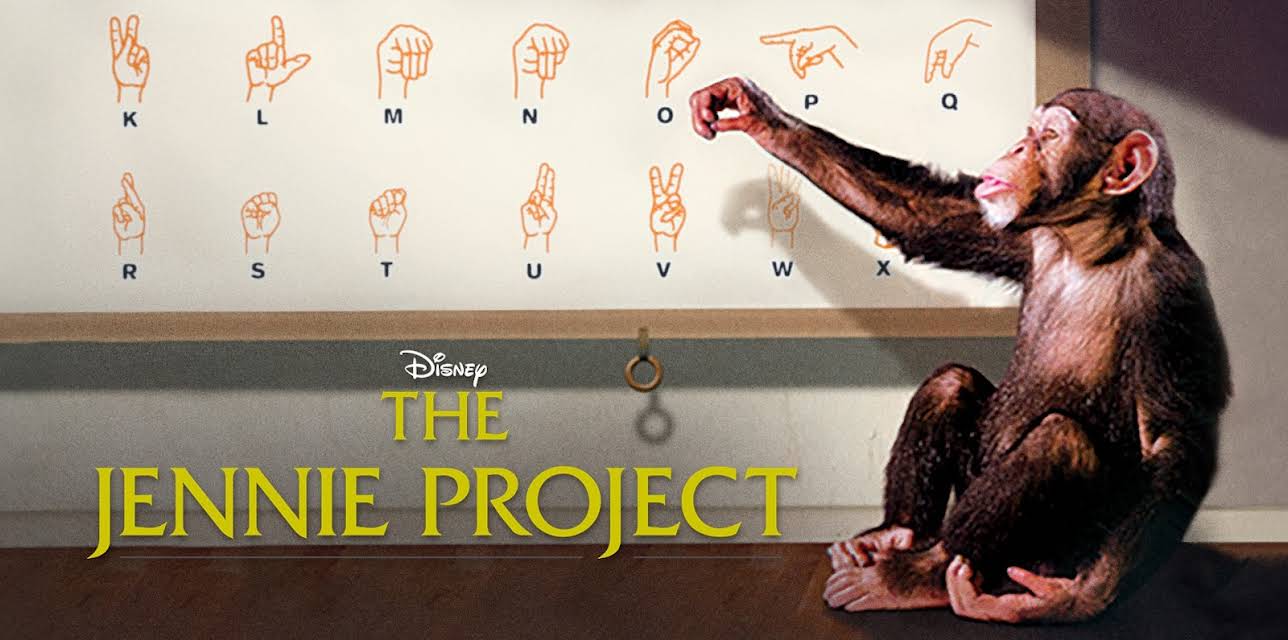 The Jennie Project (2001)