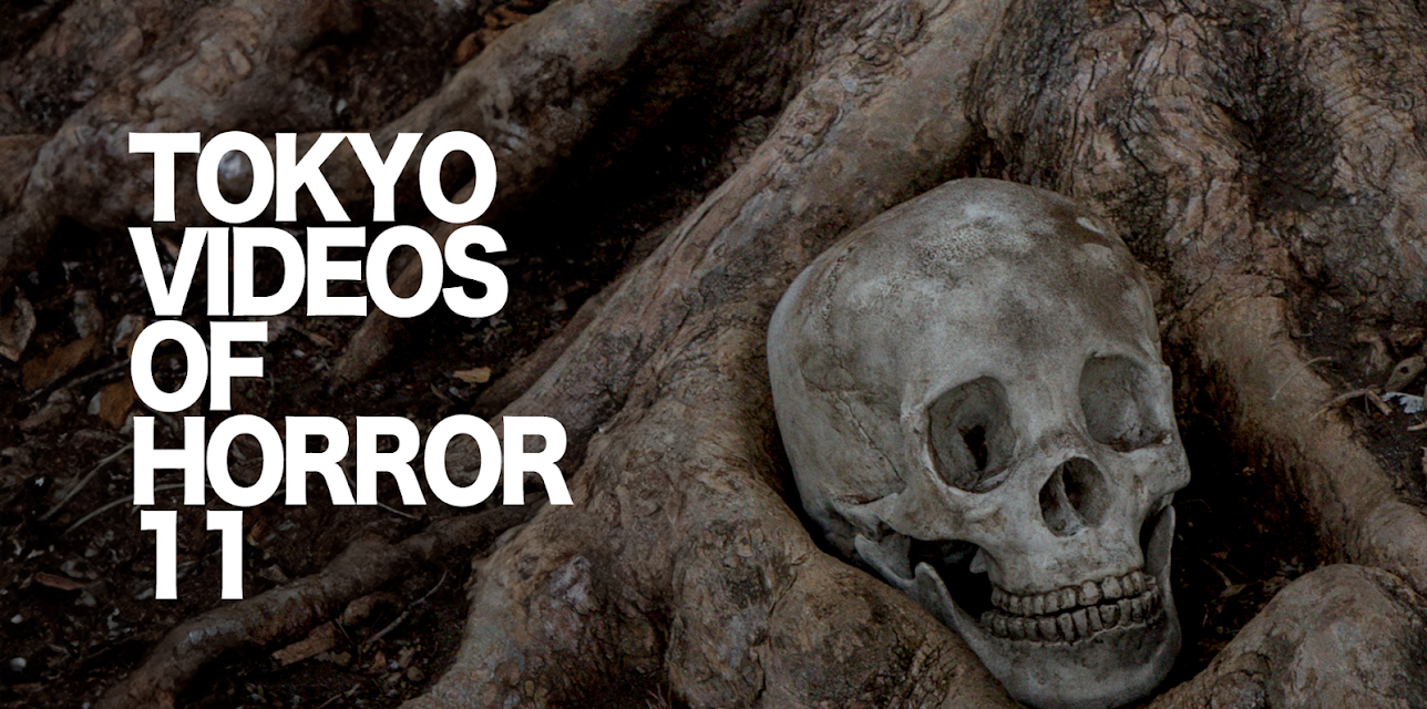 Tokyo Videos of Horror 11 (2014)