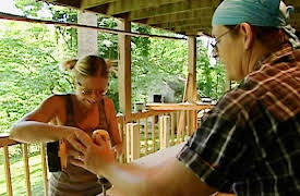 Renovation Realities: The Lees Project