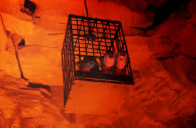 Minno Shows About Love: Season 1: The Rule Of Love - Galaxy Buck