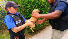 Policing Paradise (S1 E3)