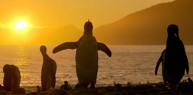 21:00: Wilde Eltern | SWR Fernsehen RP | 3/15 2026