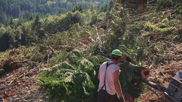 17:00: Ax Men (S9 E15) (S9) | TV10 | 5/9 2026