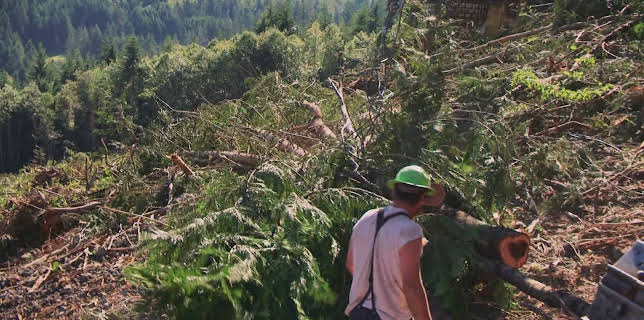 17:00: Ax Men (S9 E2) (S9) | TV10 | 12/2 2025