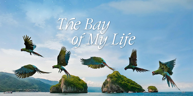 The Bay of My Life (2025)