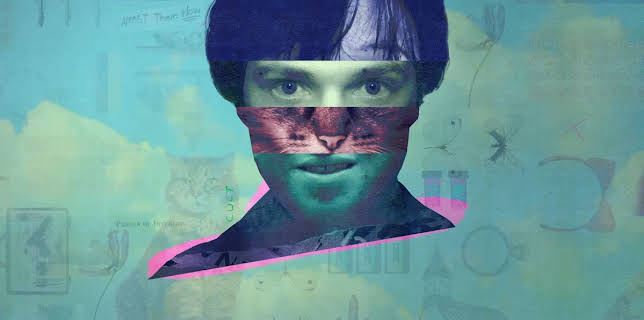 The Curious Case of...