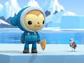 Octonauts: Above & Beyond