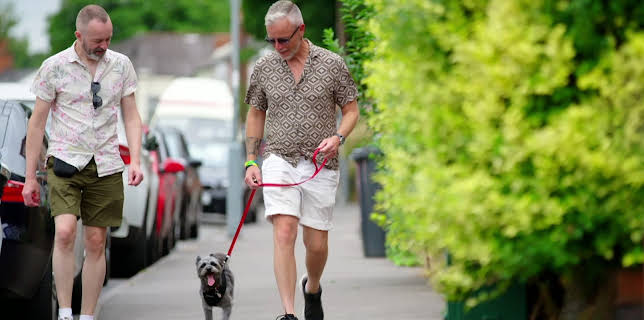 22:45: Hundehuset: Bear | NRK 2 | 3/12 2026