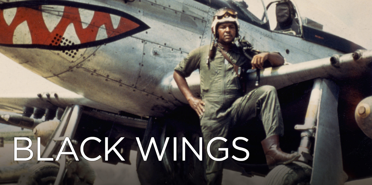 Black Wings (2012)