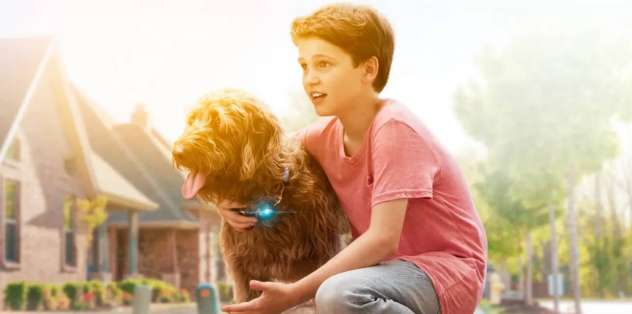 Think Like a Dog (2020)