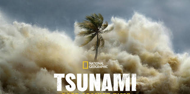 Tsunami: Race Against Time