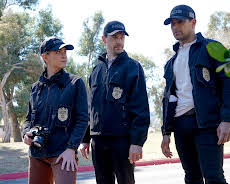NCIS