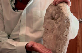 Chasing Bigfoot: The Quest For Truth: Bigfoot Research and Evidence