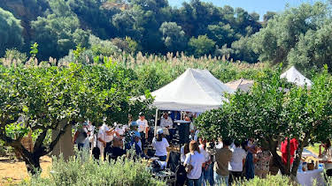 10:35 AM: Jewels of the Med (S1 E6) (S1) | Channel 5 | 1/11 2026