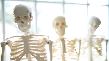 07:24: How It's Made (S22 E17) (S22) | Discovery Science | 12/29 2025