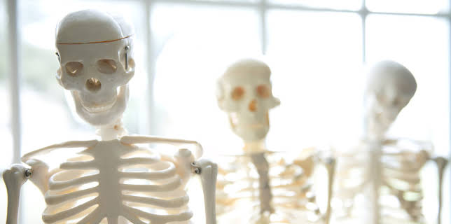 18:55: Hvordan den lages (S22 E17) (S22) | Discovery Science | 10/31 2025