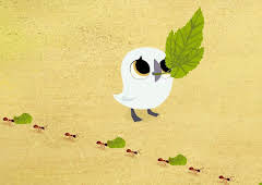 Puffin Rock