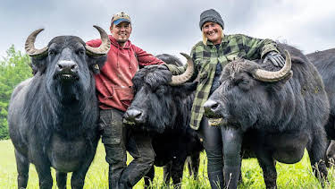 6:15 PM: This Farming Life (S6 E2) (S6) | BBC Two | 6/21 2026