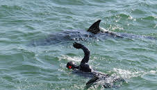 Wunder der Wissenschaft