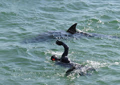 Wunder der Wissenschaft