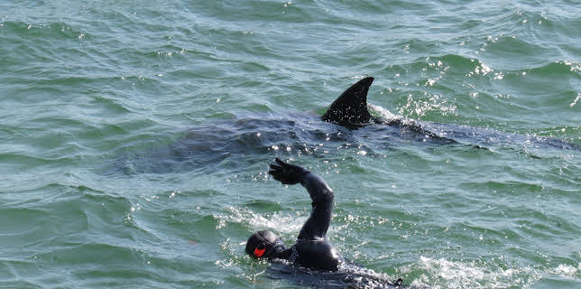 20:15: Wunder der Wissenschaft | ZDFinfo | 1/17 2026