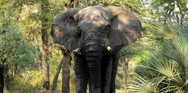 4:30 AM: The Travel Show | BBC News | 1/10 2026