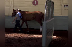 Jockeys Season 1: One Good Horse