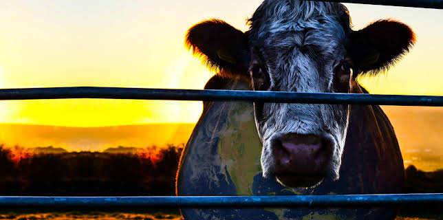 Cowspiracy: The Sustainability Secret (2014)
