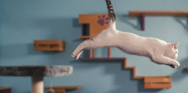 Inside the Mind of a Cat (2022)