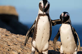 The Zoo: San Diego: Episode 7