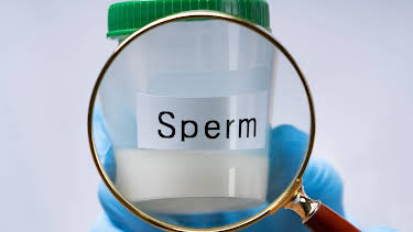 22:35: Vater bekannt - ein Samenspender und seine 30 Kinder | MDR Fernsehen | 4/16 2026