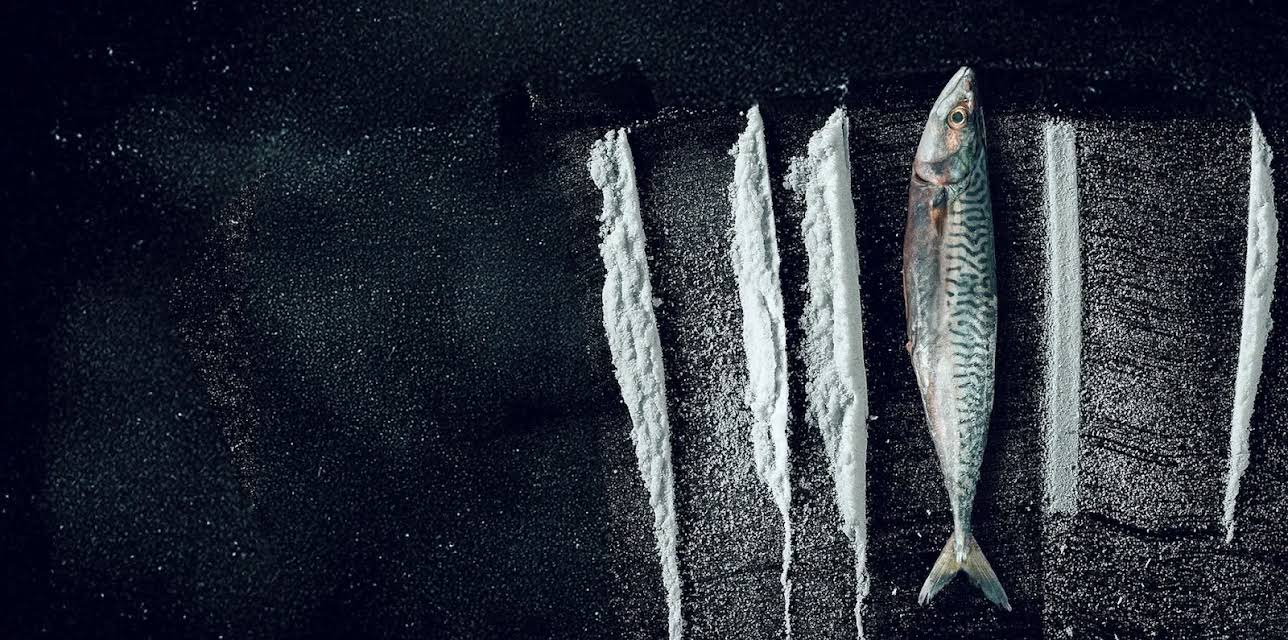 Turn of the Tide: The Surreal Story of Rabo de Peixe (2025)